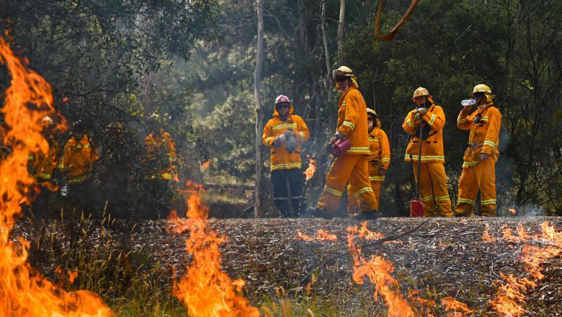Die Buschfeuer in Australien haben nach Behördenangaben bereits mehrere Millionen Hektar Land verbrannt. Die Buschfeuer in Australien haben nach Behördenangaben bereits mehrere Millionen Hektar Land verbrannt.