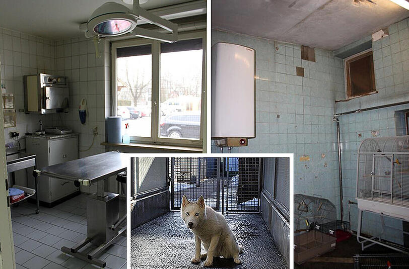 Nicht mehr zeitgemäß, asbestverseucht und marode: Behandlungsräume, Hunde-Quarantäne und Wildtierbereich (v. l.) müssen dringend saniert werden.