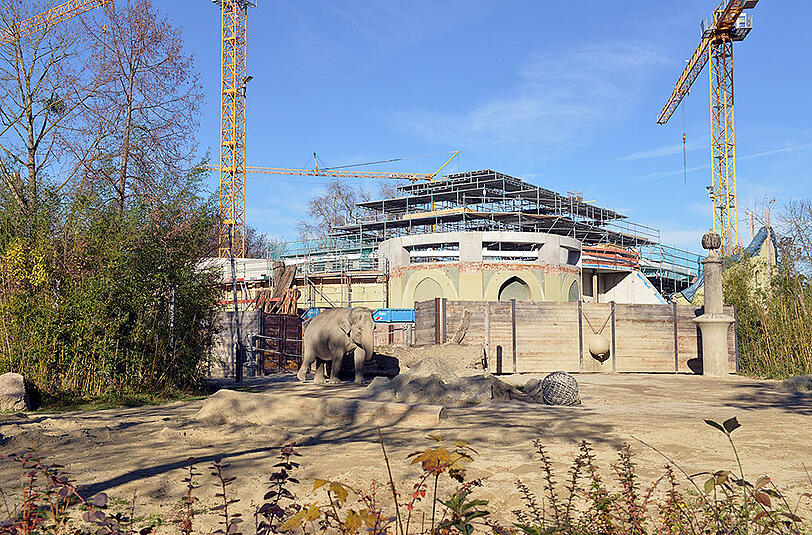 Derzeit wird die Baustelle Elefantenhaus winterfest gemacht.