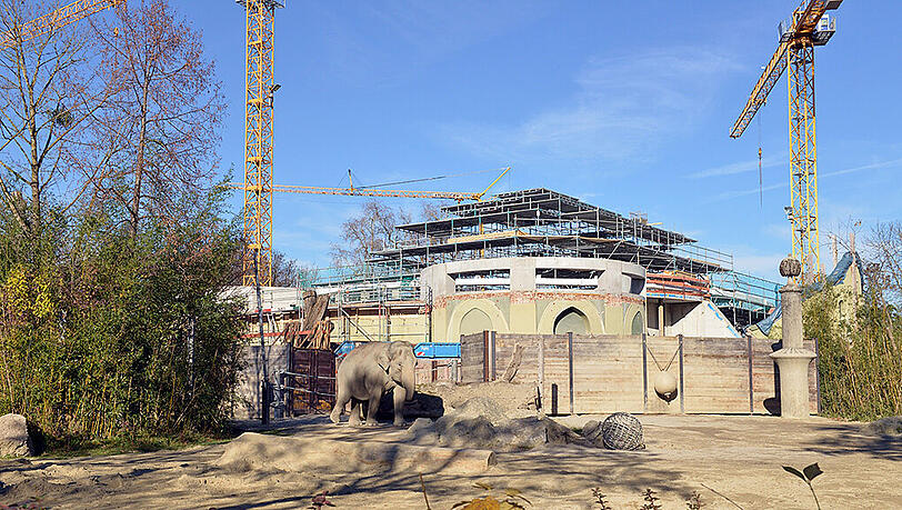 Derzeit wird die Baustelle Elefantenhaus winterfest gemacht. Derzeit wird die Baustelle Elefantenhaus winterfest gemacht.