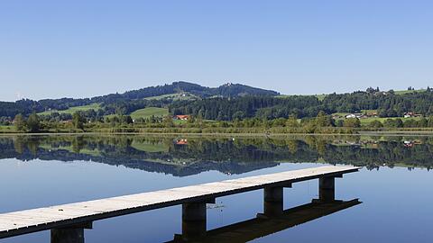 Im Haslacher See wird am Samstag eine leblose Frau am Ufer gefunden.