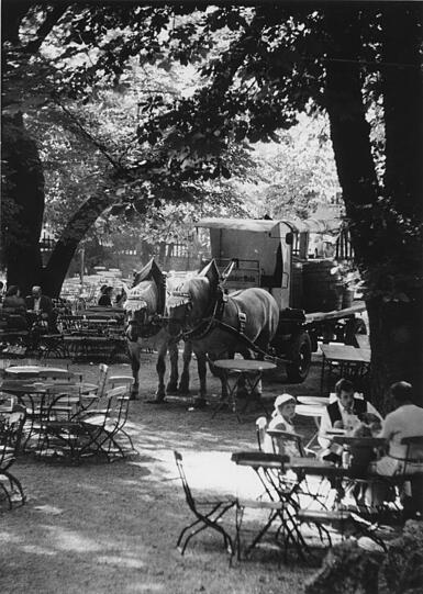 August 1971: Die Bierfässer werden nicht per Laster, sondern noch ganz klassisch mit Rössern zum Augustinerkeller angeliefert. Das Kind vorne links im Bild scheint das aber wenig zu beeindrucken.