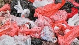 Ein Ärgernis: Hundekot - sofern er nicht ordentlich verpackt im passenden Mülleimer landet. Ein Ärgernis: Hundekot - sofern er nicht ordentlich verpackt im passenden Mülleimer landet.