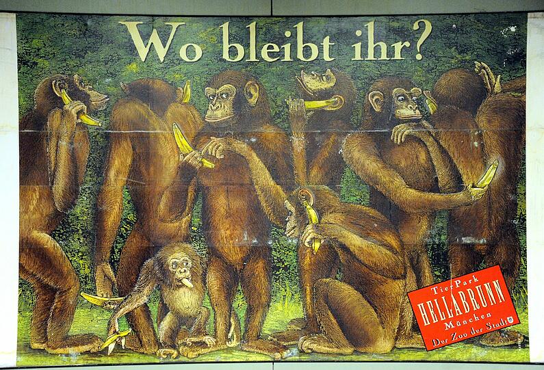 Der österreichische Illustrator Günter Mattei entwickelte bis 2005 die Plakate für den Tierpark.