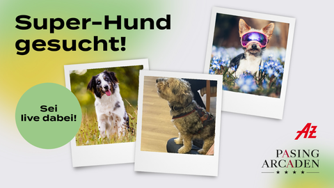 Zahlreiche Hundebesitzer haben ihre treuen Begleiter vorgestellt: vom quirligen Wirbelwind bis zum sanften Helden auf vier Pfoten.
