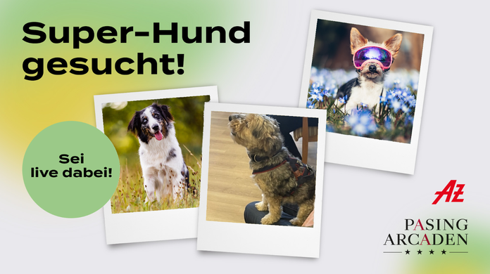 Zahlreiche Hundebesitzer haben ihre treuen Begleiter vorgestellt: vom quirligen Wirbelwind bis zum sanften Helden auf vier Pfoten.