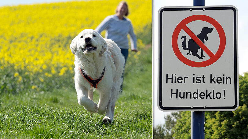 Ein großes Problem der Stadt: Mit Hundekot gefüllte Beutel, die nicht im Mülleimer sondern im Gebüsch landen.