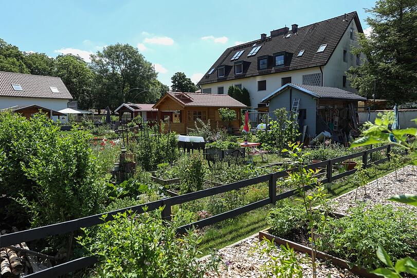 Obst und Gemüse, frisch aus dem eigenen Garten.