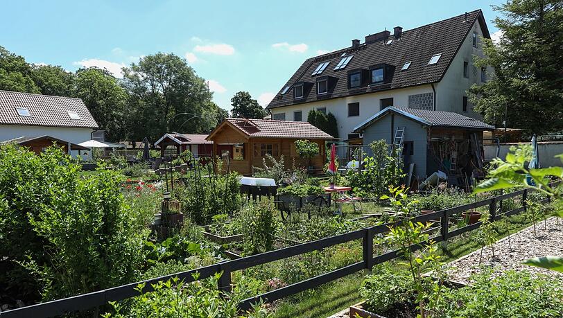 Obst und Gemüse, frisch aus dem eigenen Garten. Obst und Gemüse, frisch aus dem eigenen Garten.