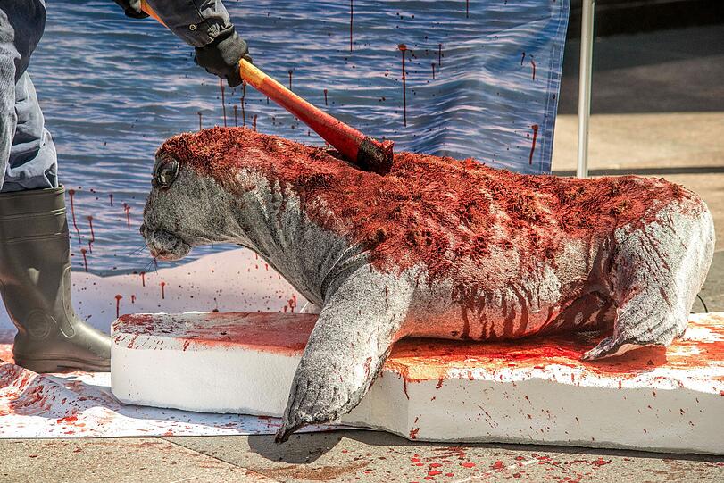 Nicht echt aber grausig spektakulär: Peta-Aktivisten simulieren das brutale Robben-Schlachten in Los Angeles