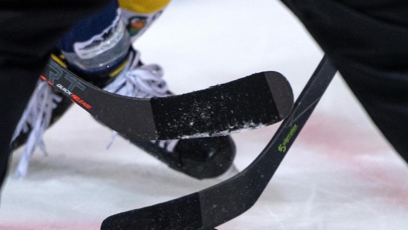Ab Mitte November soll in der DEL wieder um den Puck gekämpft werden. Ab Mitte November soll in der DEL wieder um den Puck gekämpft werden.