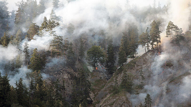 Seit Donnerstag brennt der Wald bei Oberaudorf - Hunderte Einsatzkräfte bekämpften auch am Samstag noch Glutnester. Die Bilder vom Einsatz.