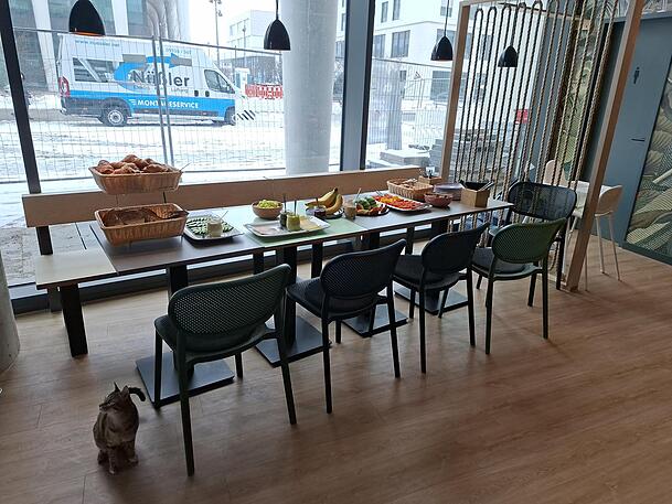 Das Frühstücks-Buffet im Anschluss an die Yoga-Stunde. Die Katze Betty wartet auf die Gäste. Das Frühstücks-Buffet im Anschluss an die Yoga-Stunde. Die Katze Betty wartet auf die Gäste.