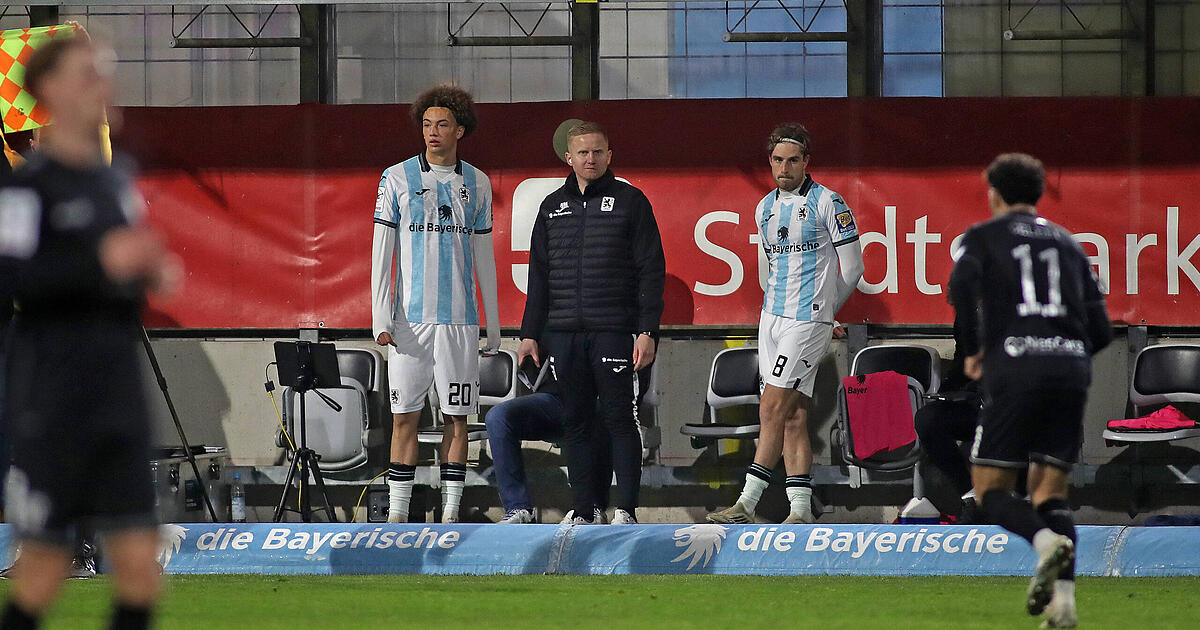 L-wen-Youngster-endlich-erl-st-So-habe-ich-mir-mein-Deb-t-immer-vorgestellt