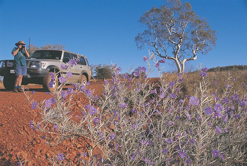 "Ihr steht hier auf Metall", sagt Pete, der Guide. Und tatsächlich ist die Erde im Karijini-Nationalpark rostrot.