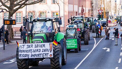 Bauern waren gegen die Streichung auf die Stra&szlig;e gegangen, nun wird sie zur&uuml;ckgenommen. (Archivbild)