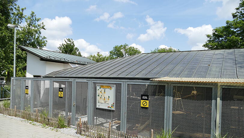 Im Vogelhaus sollen noch 2025 mehrere Bereiche für rund 200.000 Euro modernisiert werden. Im Vogelhaus sollen noch 2025 mehrere Bereiche für rund 200.000 Euro modernisiert werden.