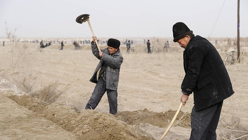 Uiguren ziehen in der autonomen Provinz Xinjiang Bewässerungsgräben für die Baumwollplantage eines Han-chinesischen Investors. Würde man das Lieferkettengesetz ernst nehmen, müsste sich die deutsche Wirtschaft auch aus China zurückziehen, so Lutz, ein Gegner des Gesetzes. Uiguren ziehen in der autonomen Provinz Xinjiang Bewässerungsgräben für die Baumwollplantage eines Han-chinesischen Investors. Würde man das Lieferkettengesetz ernst nehmen, müsste sich die deutsche Wirtschaft auch aus China zurückziehen, so Lutz, ein Gegner des Gesetzes.