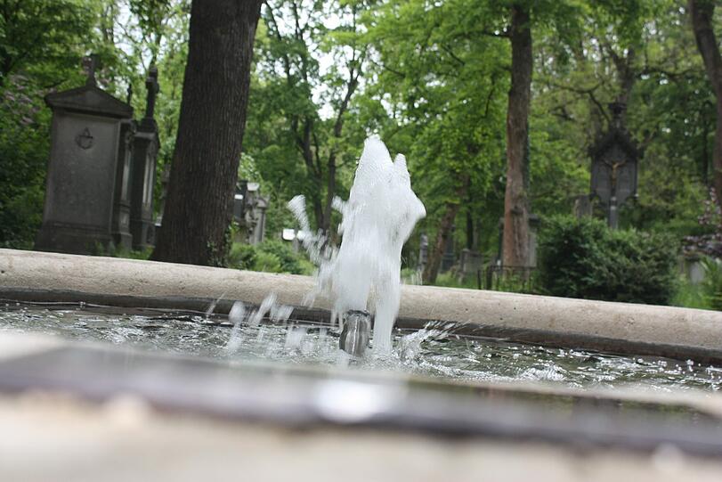 Auf dem Alten Südliche Friedhof gibt es neben dem alten Schöpfbrunnen noch viele weitere Kulturdenkmäler. Die Bilder.