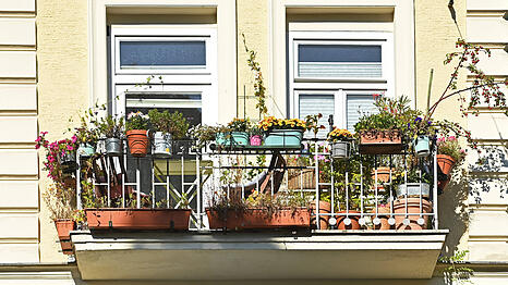 Blick auf einen mit Blumen dekorierten Balkon einer Stadtwohnung in Schwabing.