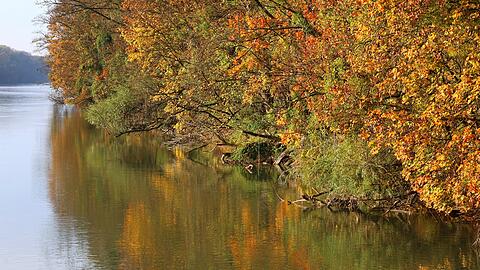 Indian Summer im Norden Münchens an der Isar: Kaum zu glauben, dass man hier immer noch in der Stadt unterwegs ist.