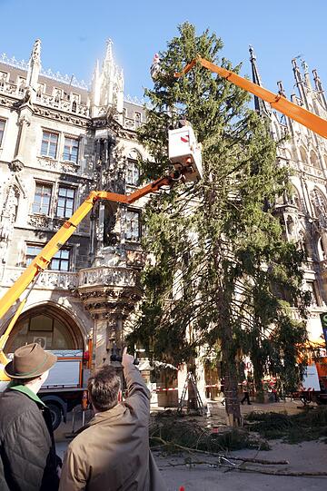 Um 6 Uhr ging's los: Die Feuerwehr stellte den diesjährigen Christbaum am Marienplatz auf, der zugegebenermaßen etwas mager daher kommt.