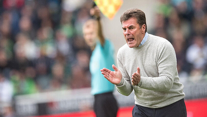Dieter Hecking absolviert am Samstag sein 363. Spiel als Bundesliga-Chefcoach. Dieter Hecking absolviert am Samstag sein 363. Spiel als Bundesliga-Chefcoach.