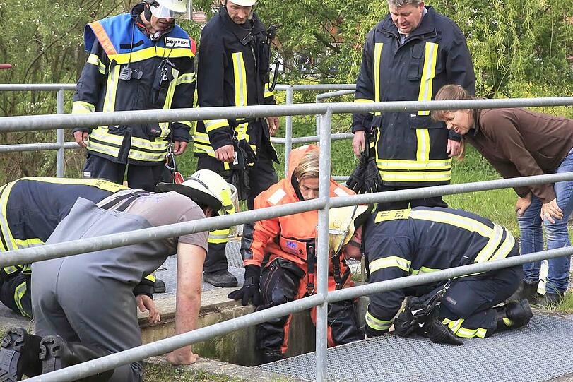 Die Shetland-Stute "Hastika" konnte von den Feuerwehrleuten gerettet werden.