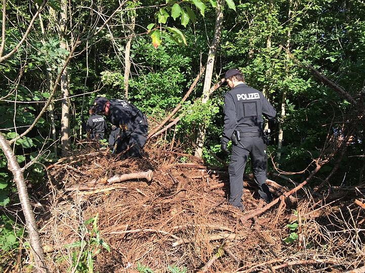 Rund 150 Einsatzkräfte durchsuchten am Freitagvormittag den Truderinger Wald bei Waldperlach.
