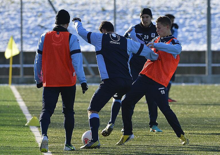 Die Löwen im Trainingslager in Brescia.