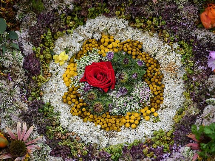 Bunte Blüten bilden einen Kreis in einem riesigen Strauß aus Kräutern. Foto: Patrick Seeger