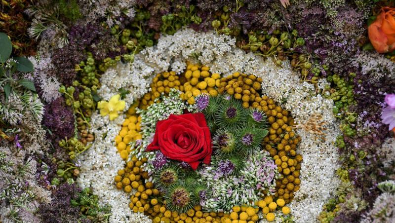 Bunte Blüten bilden einen Kreis in einem riesigen Strauß aus Kräutern. Foto: Patrick Seeger Bunte Blüten bilden einen Kreis in einem riesigen Strauß aus Kräutern. Foto: Patrick Seeger