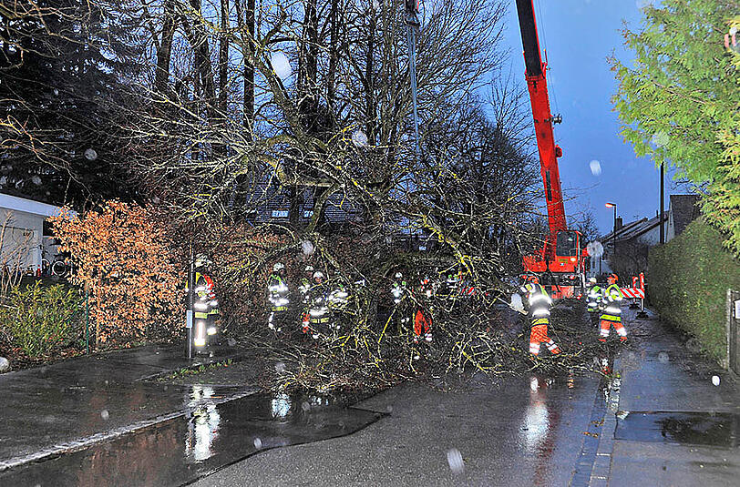In Planegg musste ein Kran angefordert werden, da ein großer Baum auf ein Wohnhaus gestürzt war.