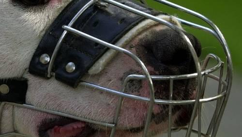 Als "Maulkorb-Erlass" für Mandatsträger wird ein Antrag der Grünen im Bezirksausschuss 19 bezeichnet. Als "Maulkorb-Erlass" für Mandatsträger wird ein Antrag der Grünen im Bezirksausschuss 19 bezeichnet.
