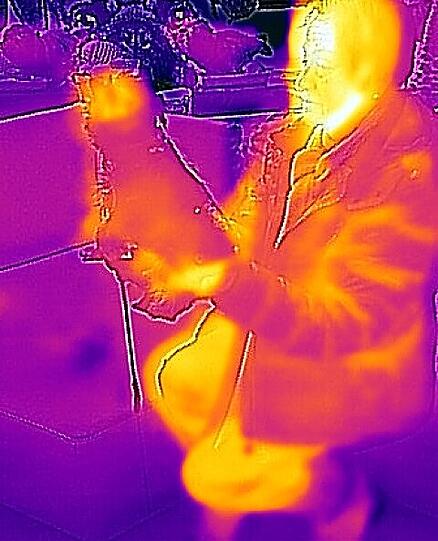 Eine Aufnahme aus der Wärmebild-Kamera: Umso heller die Farben auf dem Foto sind, desto mehr Energie wird abgegeben.
