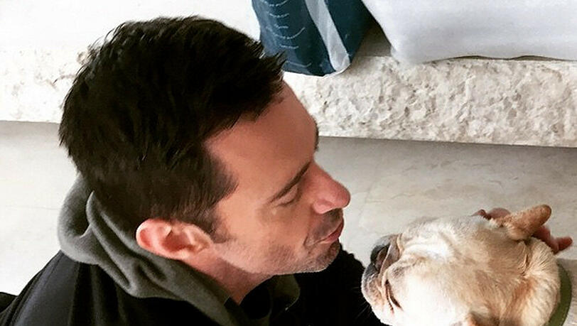 Hugh Jackman gibt Hund Dali ein Küsschen. Hugh Jackman gibt Hund Dali ein Küsschen.