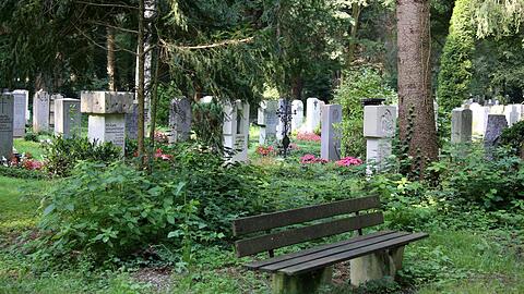 Der Klimawandel stellt auch Friedhöfe vor neue Herausforderungen. Trockenere Sommer und extreme Wetterlagen setzen den klassischen Friedhofsbepflanzungen zu.