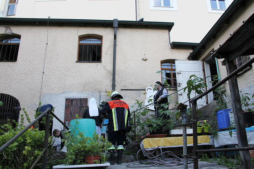 Nach vier Stunden musste die Feuerwehr den Einsatz abbrechen. Vermutlich wurde das junge Kätzchen von seiner Mutter gerettet.