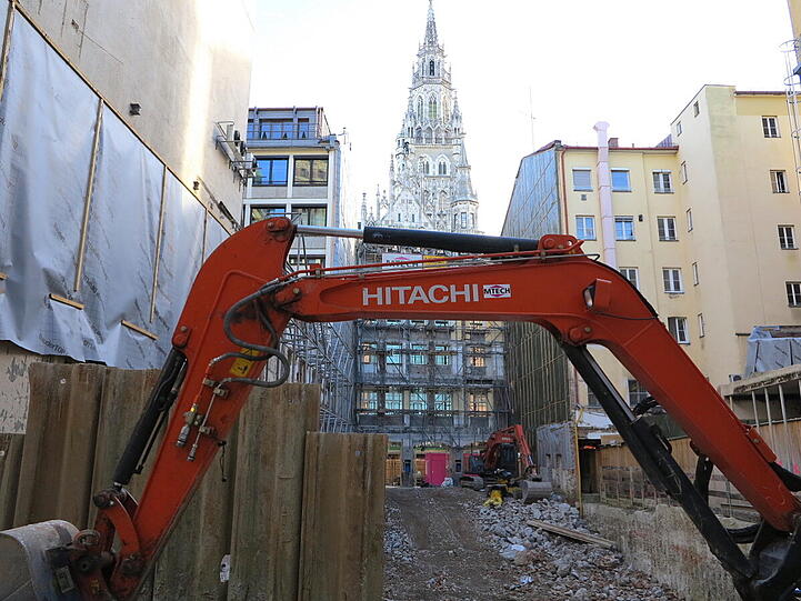 Der "Ritter für die Katz'"