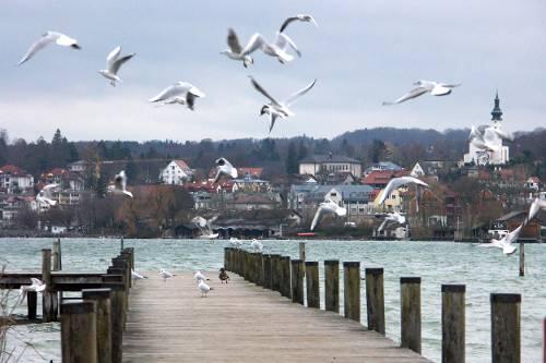 In Starnberg ist die Reichen-Dichte am höchsten