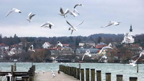 In Starnberg ist die Reichen-Dichte am höchsten In Starnberg ist die Reichen-Dichte am höchsten