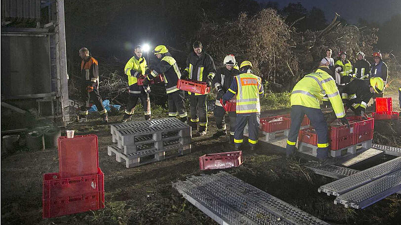 40 Tonnen schwerer Fleisch-Laster kippt um: A8 gesperrt - Bilder vom Bergungseinsatz.