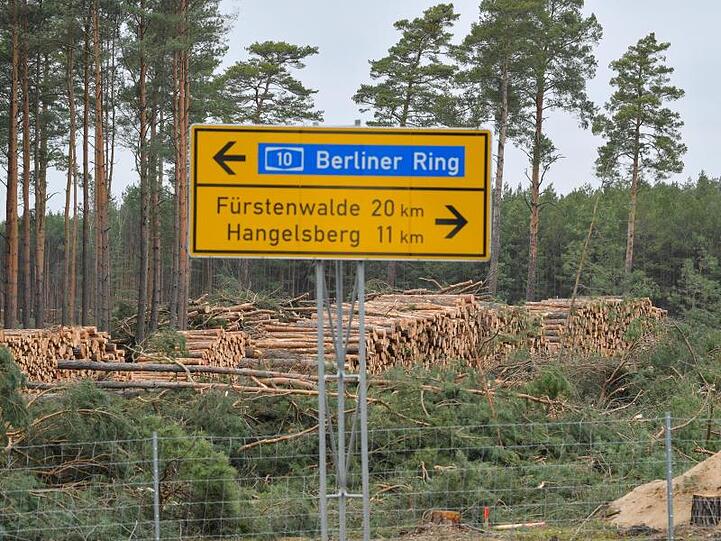 Gerodeter Kiefernwald auf dem Gelände der künftigen Tesla-Gigafactory.