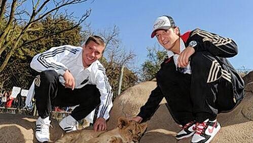 Entspannung vor der Partie gegen England: Beim Besuch des DFB-Teams im „Lion Park“ in Lanseria streicheln Lukas Podolski (l.) und Mesut Özil, der da noch nichts vom Tod seiner Oma wusste, ein Löwen-Baby. Entspannung vor der Partie gegen England: Beim Besuch des DFB-Teams im „Lion Park“ in Lanseria streicheln Lukas Podolski (l.) und Mesut Özil, der da noch nichts vom Tod seiner Oma wusste, ein Löwen-Baby.