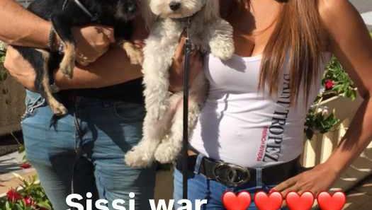 Patricia Blanco trauert um H&uuml;ndin Sissi.