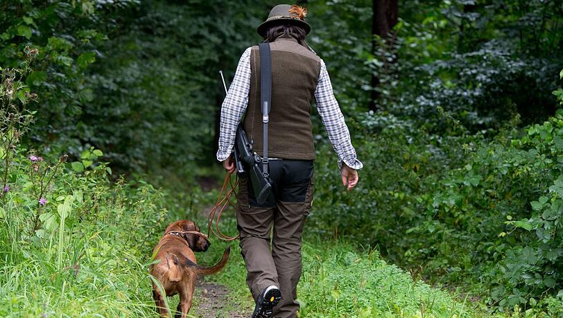 Der 74-jährige Jäger wurde in der Brust getroffen (Symbolbild). Der 74-jährige Jäger wurde in der Brust getroffen (Symbolbild).