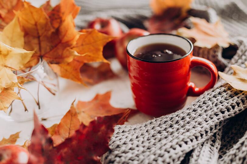 Auch der erste Glühwein ist nicht mehr weit. Wer sich den noch ein bisschen aufsparen möchte, der sollte definitiv schon mit einem heißen Tee oder Kakao anfangen. Denn der schmeckt besonders gut, wenn es draußen windet und stürmt. Auch der erste Glühwein ist nicht mehr weit. Wer sich den noch ein bisschen aufsparen möchte, der sollte definitiv schon mit einem heißen Tee oder Kakao anfangen. Denn der schmeckt besonders gut, wenn es draußen windet und stürmt.