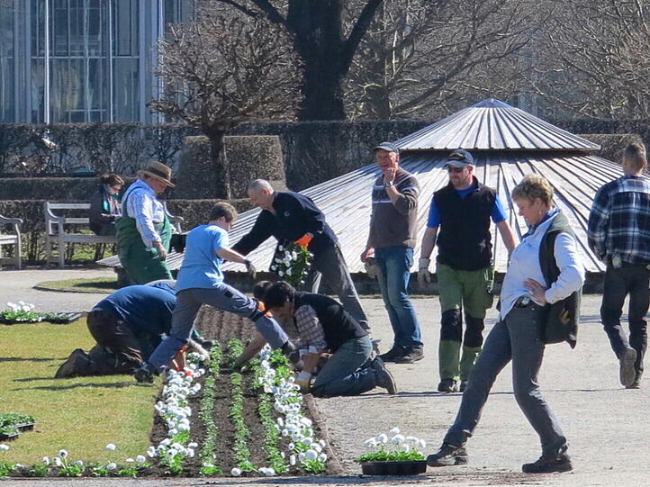 Die Stadtgärtner setzen die ersten Frühlingsblumen ein.
