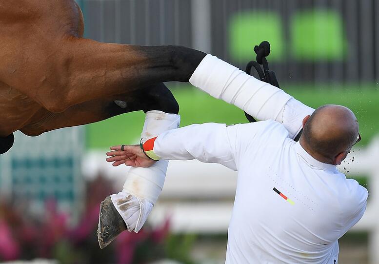 Kurzer Schockmoment: Der Betreuer geht blutend zu Boden, als ihn das Pferd am Kopf verletzte.