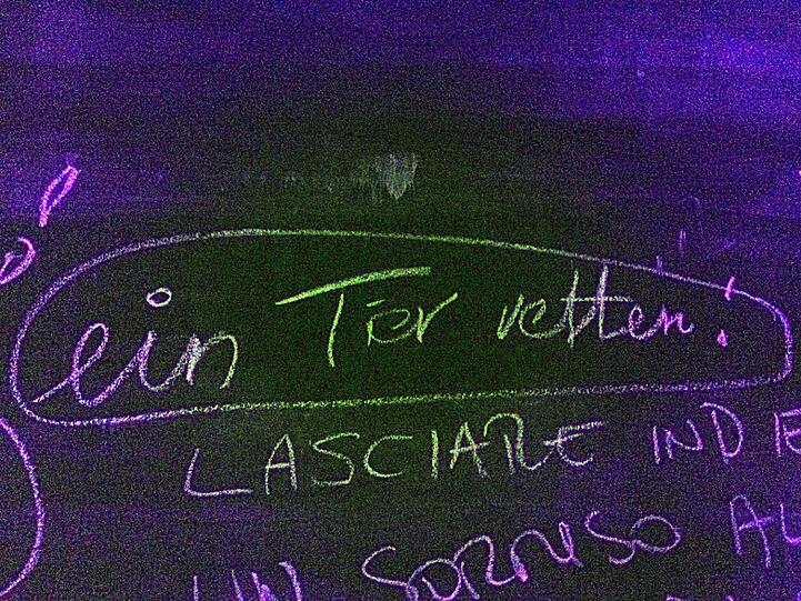 Gut zu Tieren sein könnte auch hilfreich sein.